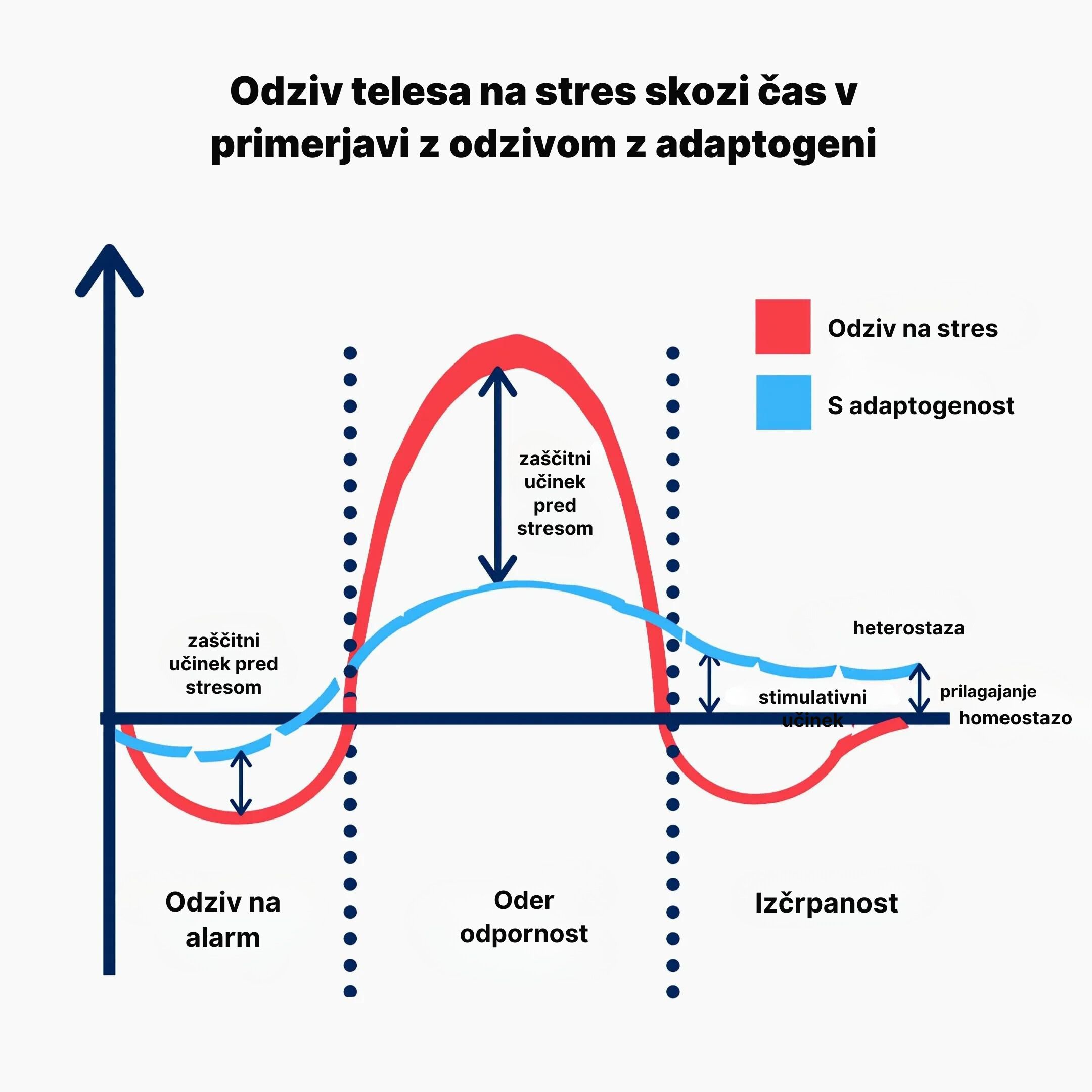 (Slovinština) Reakce těla na stres v průběhu času ve srovnání s reakcí s adaptogeny